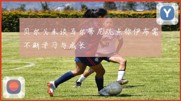 贝尔戈米谈马尔蒂尼观点称伊布需不断学习与成长