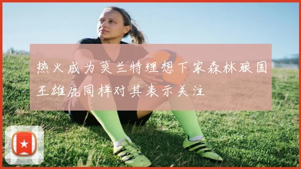 热火成为莫兰特理想下家森林狼国王雄鹿同样对其表示关注